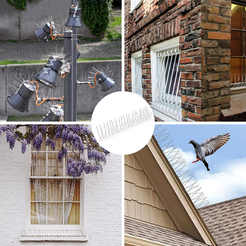 Anti Bird Spikes – Pigeon Spikes 20 Inches Strip