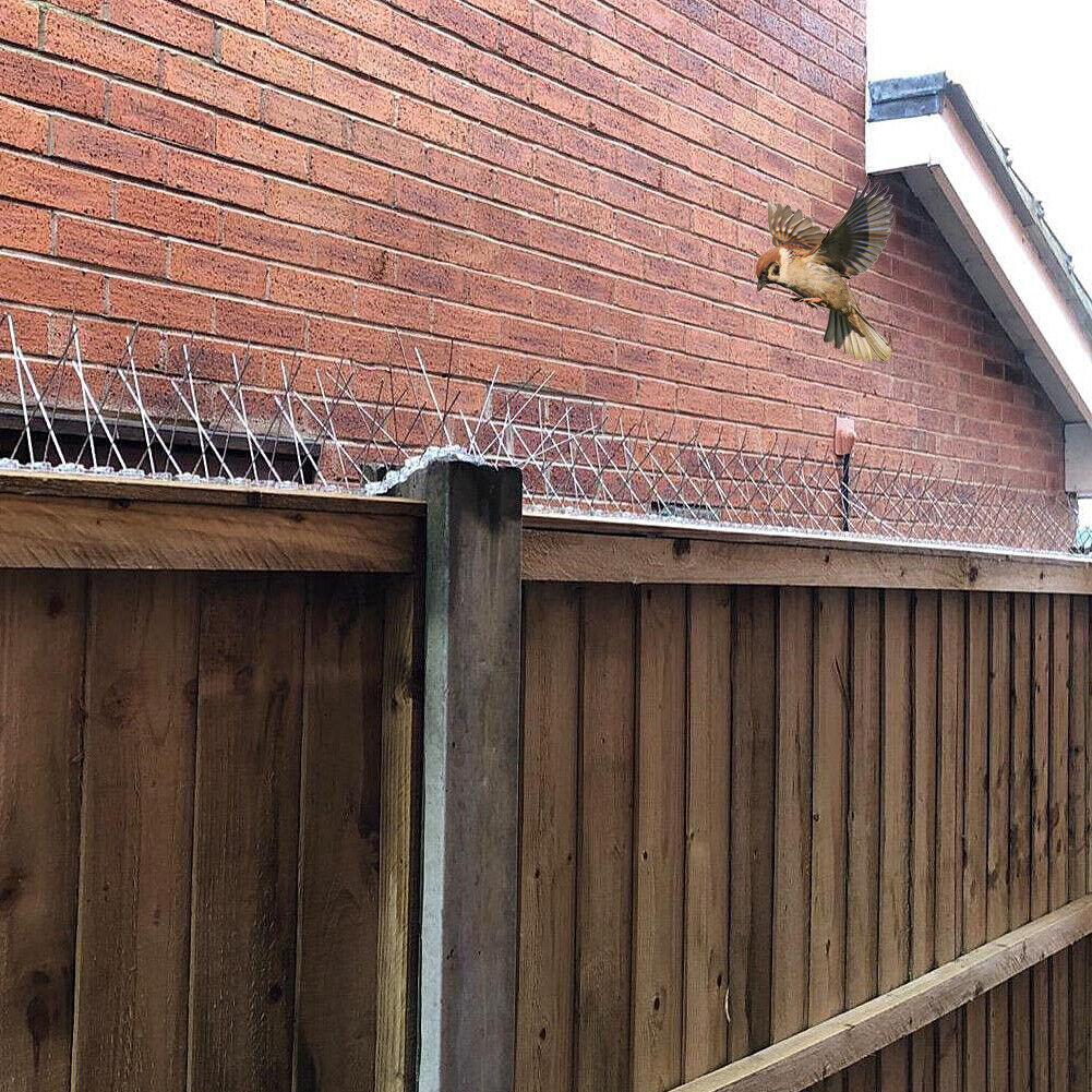 Anti Bird Spikes – Pigeon Spikes 20 Inches Strip