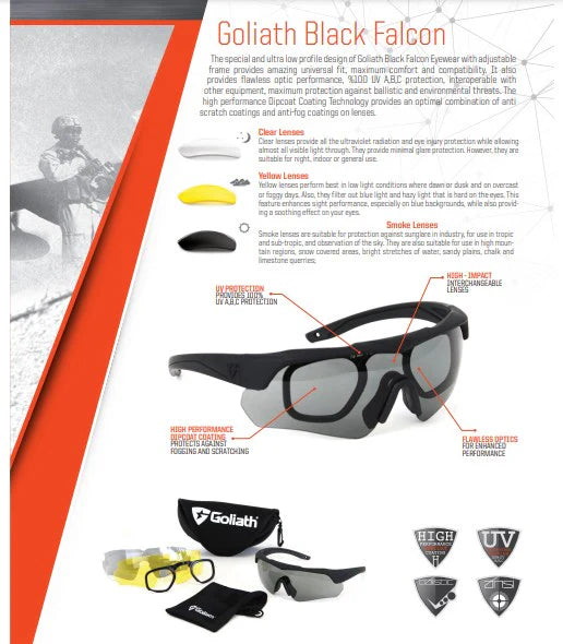 BLACK FALCON professional eyewear