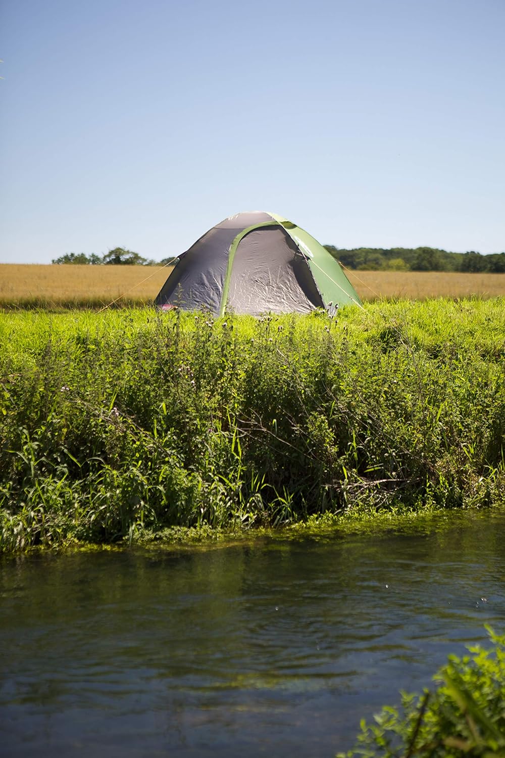 Coleman Darwin 3 Tent, Compact 3 Man Dome Tent, Green/Grey