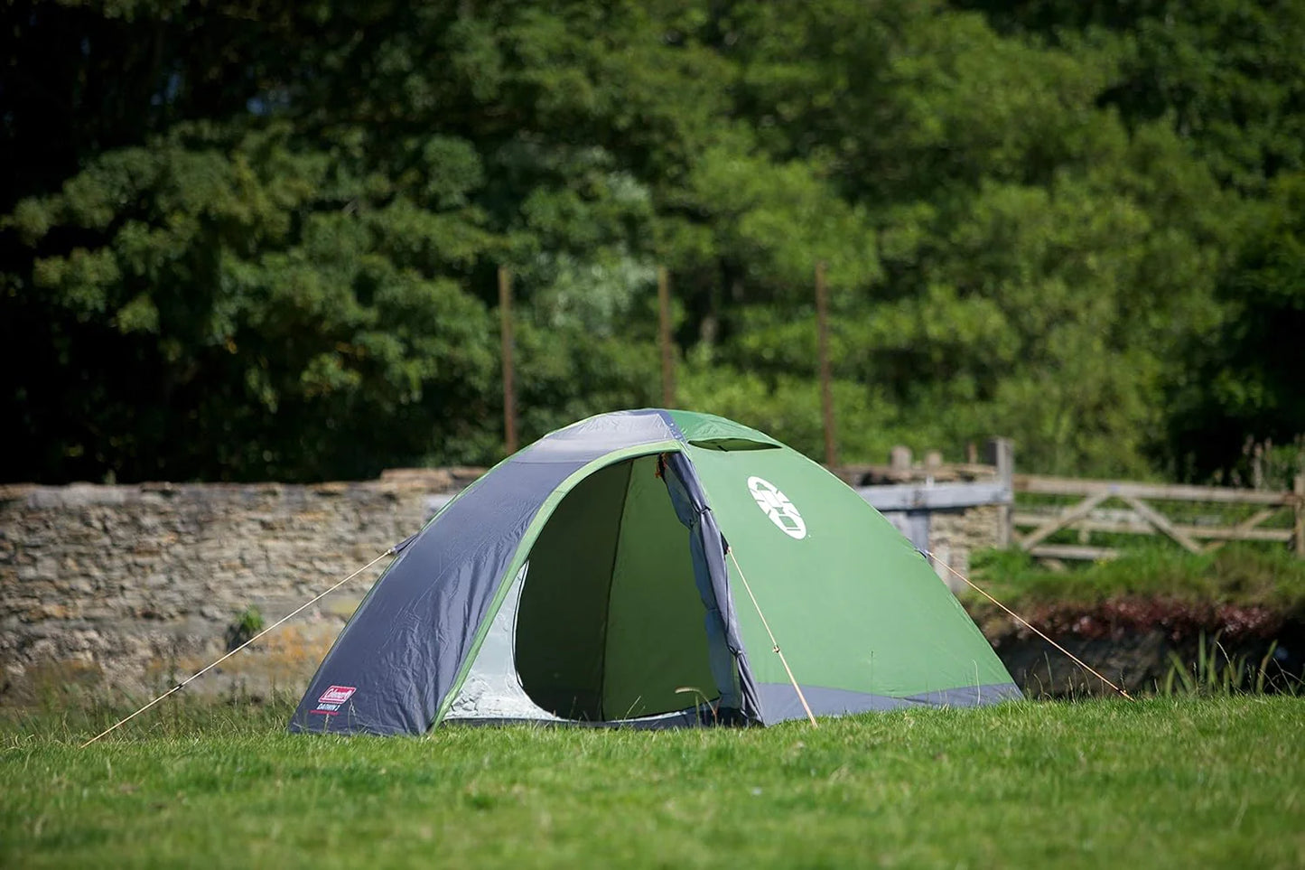 Coleman Darwin 3 Tent, Compact 3 Man Dome Tent, Green/Grey