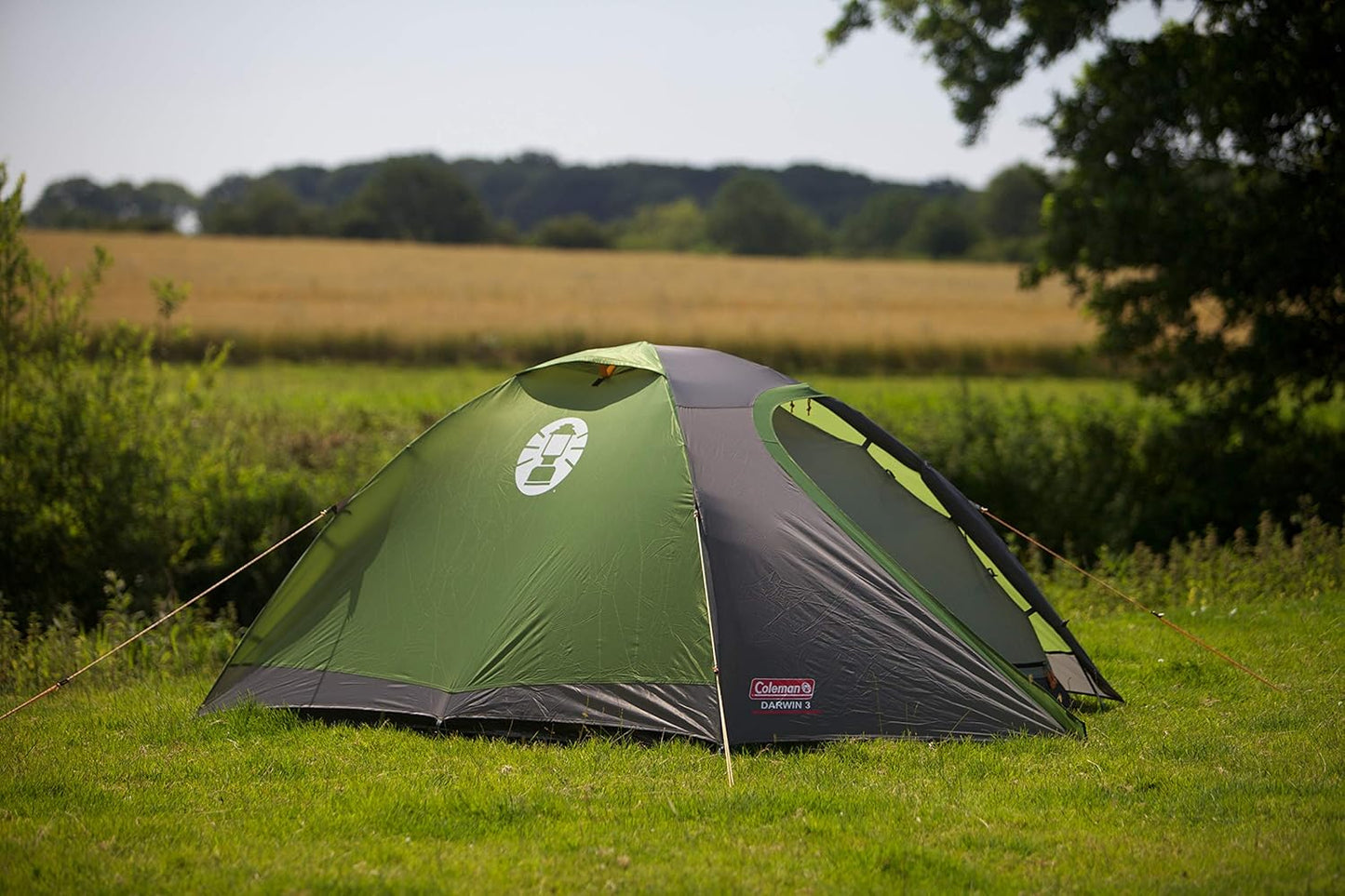 Coleman Darwin 3 Tent, Compact 3 Man Dome Tent, Green/Grey