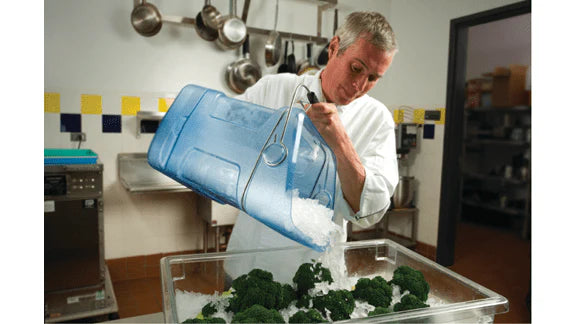 ERGOSAFE ICE TOTE WITH BIN HOOK BLUE