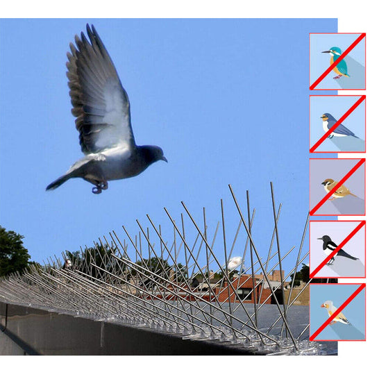 Anti Bird Spikes – Pigeon Spikes 12 Inches Strip